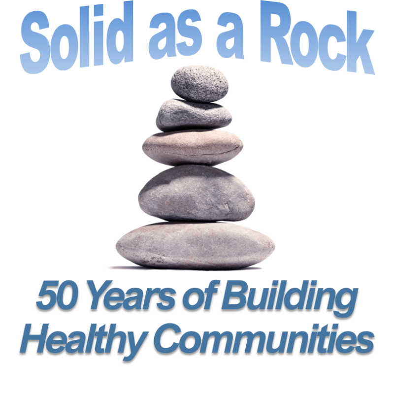 2024 Board Seminar Behavioral Health Services Association   2024 BS Rock Edited 800x800 